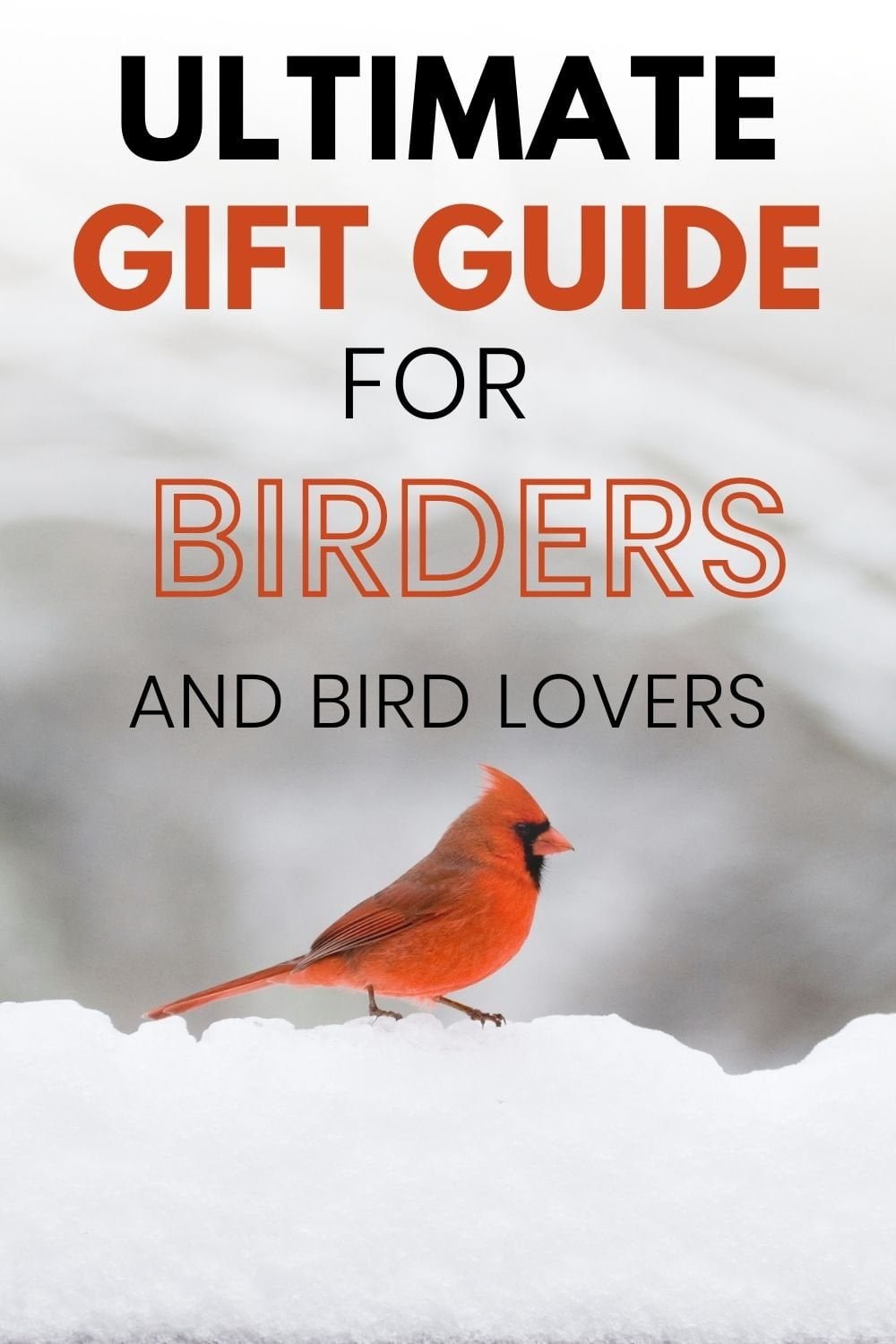 Best gifts for bird lovers (12)