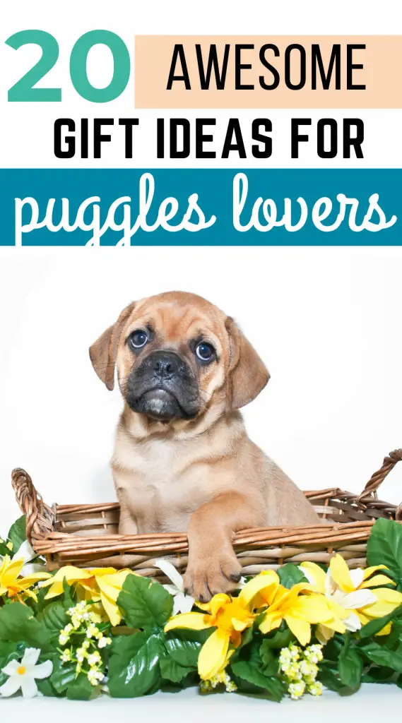 Gifts for puggle lovers