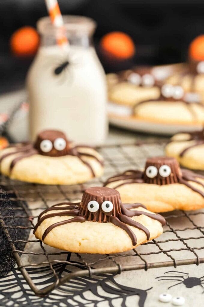 Spider Cookies