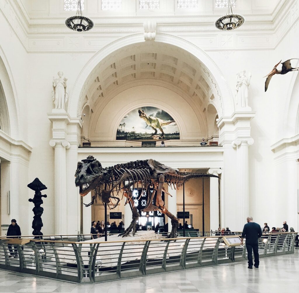 Dinosaur at museum
