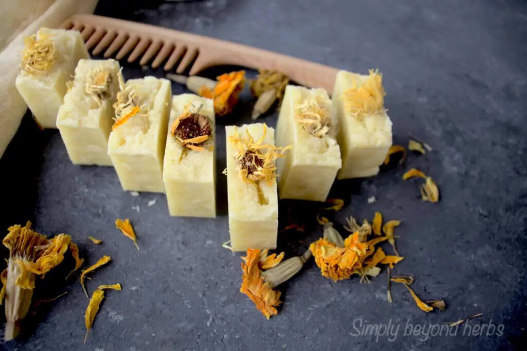 Calendula shampoo bar